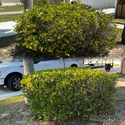 Green Escapes Lawn Mowing - hedge trimming