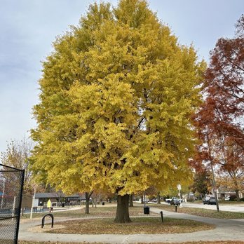 Leonard Park - Parks Near Me - Speedway, Indiana