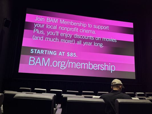 Brooklyn Academy of Music by null