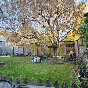 Benavidez - Tree Services Near Me Benavidez - Tree Services Near Me