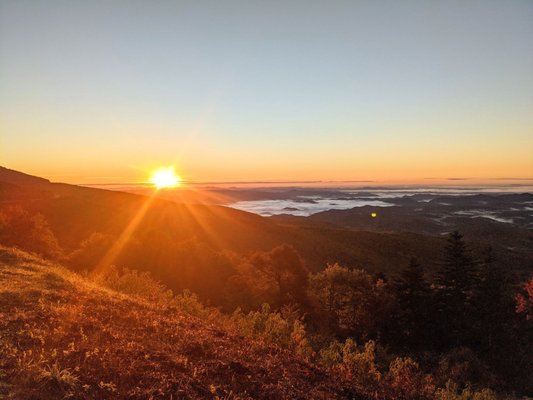 Linn Cove Viaduct by null
