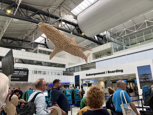 Nice Côte d'Azur Airport by null