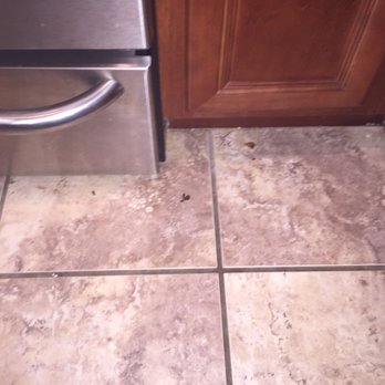Shilo Inns Killeen - Crumbs or who knows what on the floor - Hotels Near Me - Killeen, Texas Shilo Inns Killeen - Crumbs or who knows what on the floor - Hotels Near Me - Killeen, Texas