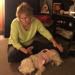 Luminous Passages - Reiki Energy Healing benefits our pets too as do Psychic Mediumship readings especially during difficult times.