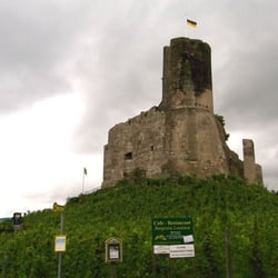 Burg Landshut - Die Burgruine wächst quasi aus den Weinbergen