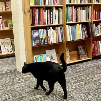 Twice Sold Tales - Used Bookstore Near Me - Seattle, Washington Twice Sold Tales - Used Bookstore Near Me - Seattle, Washington