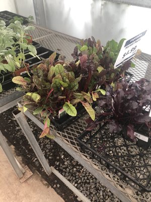 Stadler Garden Centers 5504 Mount Zion Rd Frederick Md Nurseries Mapquest Stadler Garden Centers 5504 Mount Zion