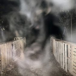 The Woods Of Lost Souls - Cut on Camera check out the face on what ever this is.