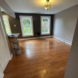 David Painting & Handyman Services