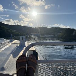 Inter Island Boat Services - View from top deck