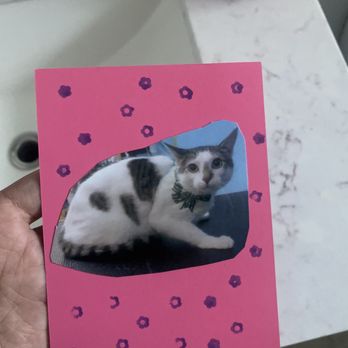 My Pet Garden - The sweet card they sent me! - Pet Stores Near Me - Pasadena, California