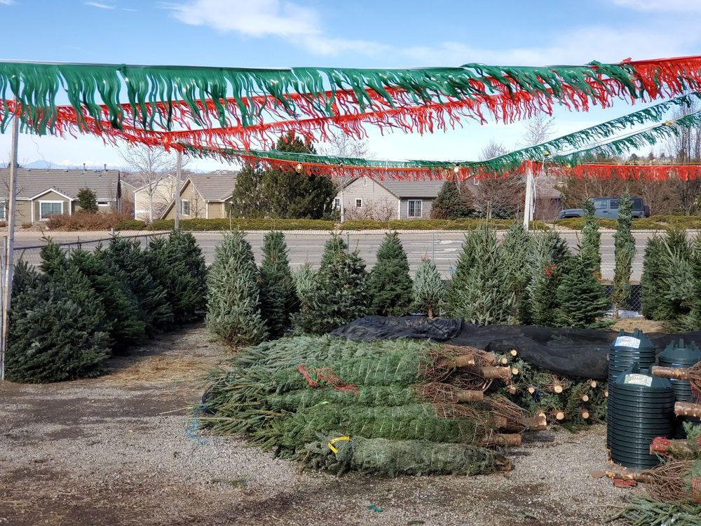 TREE LAND CHRISTMAS TREES 37 Reviews 1720 S Santa Fe Dr, Denver
