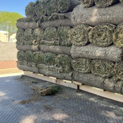 Just Sprinklers - Old dry sod falling apart and they tried to deliver this to me saying it was just cut yesterday