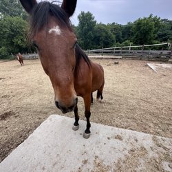 Hoofbeat Ridge Day-Resident Camp - Zeb :)