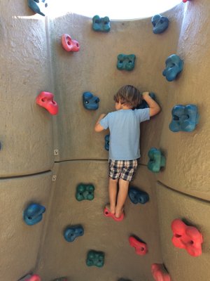 Culver West Alexander Park by null