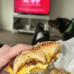 Hello Cafe - Bacon egg and cheese bagel