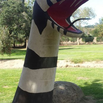 Kit Carson Park - Closeup!!! - Parks Near Me - Escondido, California Kit Carson Park - Closeup!!! - Parks Near Me - Escondido, California
