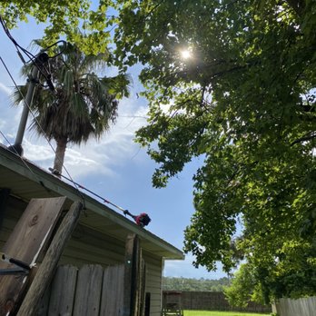 Wisemen Tree Company - a man on a ladder on the roof of a house - Tree Services Near Me - Pace, Florida Wisemen Tree Company - a man on a ladder on the roof of a house - Tree Services Near Me - Pace, Florida