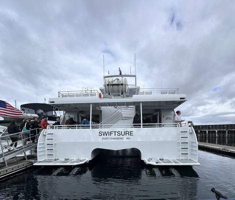 Puget Sound Express by null