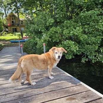 Roots Veterinary Hospital - Veterinarians Near Me - Tappan, New York Roots Veterinary Hospital - Veterinarians Near Me - Tappan, New York