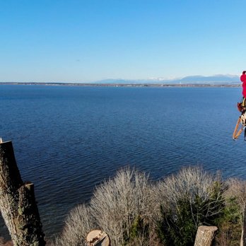 Take a Bough Tree Care - Tree Services Near Me - North Vancouver, British Columbia Take a Bough Tree Care - Tree Services Near Me - North Vancouver, British Columbia