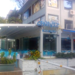 Ceneviz Balık