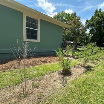 Ty Ty Nursery - Had to wait three months for them to react. - Nurseries & Gardening Near Me - Ty Ty, Georgia