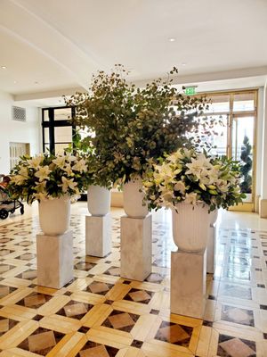 The Maybourne Beverly Hills by null