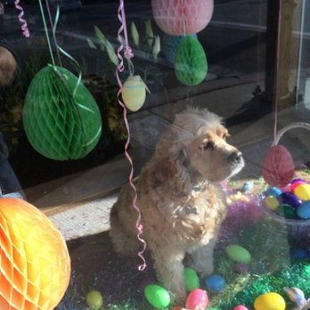 Foothill Flowers - Florists Near Me - Grass Valley, California
