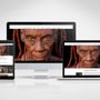 Photo of Entropic Studio