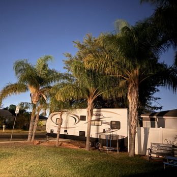 One Way Tree Care - Before - Tree Services Near Me One Way Tree Care - Before - Tree Services Near Me