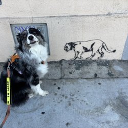 Atwater Village - Her face!