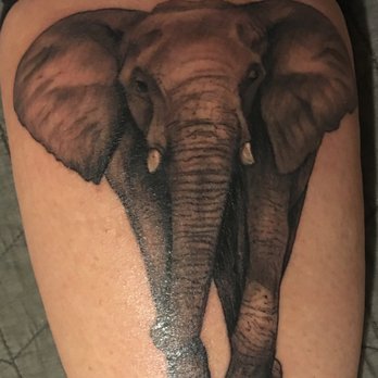 Higher Love Tattoo - My elephant tattoo done by Leah. - Tattoo Near Me - Cincinnati, Ohio