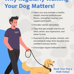 Fetch! Pet Care East Hollywood