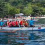 Oslob Whale Shark Watching