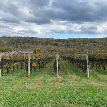 Alba Vineyard - Wineries Near Me - Milford, New Jersey