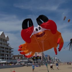 Kite Loft - Giant Crab taking over the Beach