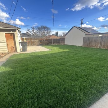 Torres Landscaping & Concrete - 4 weeks later - Landscaping Near Me - Bakersfield, California Torres Landscaping & Concrete - 4 weeks later - Landscaping Near Me - Bakersfield, California