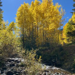 Guanella Pass Scenic Byway