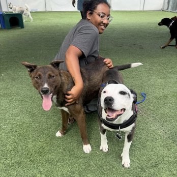Bed & Biscuits Groomingdales - Buddies!!! - Pet Groomers Near Me - Santa Cruz, California