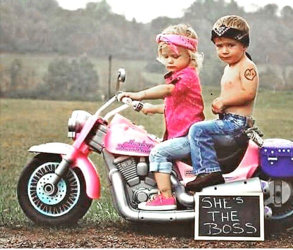 SUNSHINE’S LEARN TO RIDE Updated September 2024 17 Photos