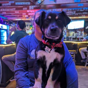 Wisteria Tavern - Pubs Near Me - Pensacola, Florida Wisteria Tavern - Pubs Near Me - Pensacola, Florida