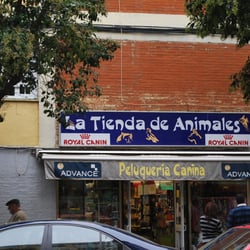 La Tienda de Animales - Los perros hacen guau, los gatos hacen miau y nosotros decimos !viva el carnaval!
