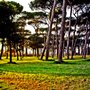Photo of Villa Doria Pamphilj