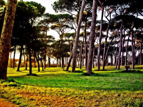 Villa Doria Pamphilj