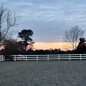 Stables at Serenity Farms - Horse Boarding Near Me - Molino, Florida
