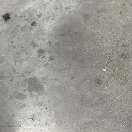 This is how dirty this store stays! Gum stuck on the floor as well as trash and food stains! This is how dirty this store stays! Gum stuck on the floor as well as trash and food stains!