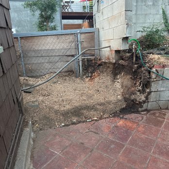 Inexpensive Tree Services - After removal - Tree Services Near Me - Los Angeles, California Inexpensive Tree Services - After removal - Tree Services Near Me - Los Angeles, California