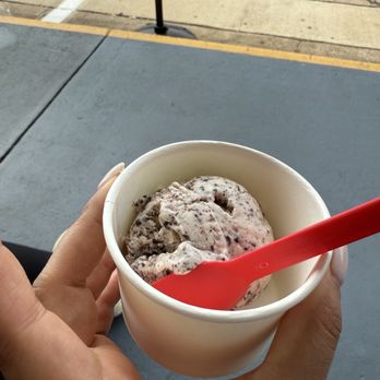 Lick Honest Ice Cream - Cookies and cream - Ice Cream & Frozen Yogurt Near Me - Houston, Texas
