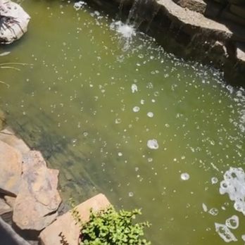 Underwater Environments - Haron - Lakes Near Me - Vista, California